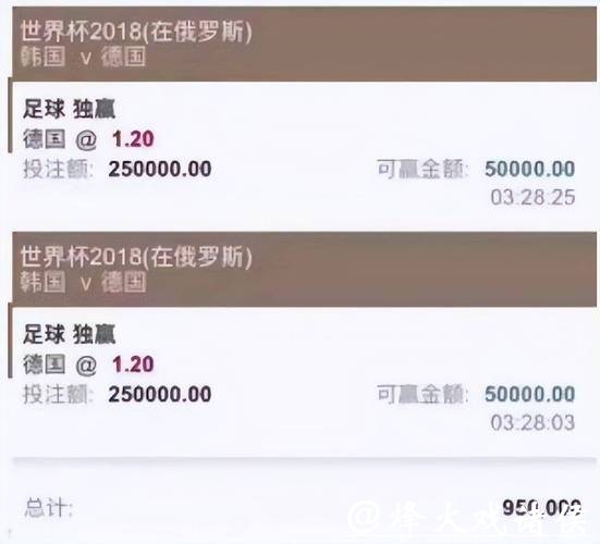 详细解析世界杯投注平台选择与推荐 详细解析世界杯投注平台选择与推荐